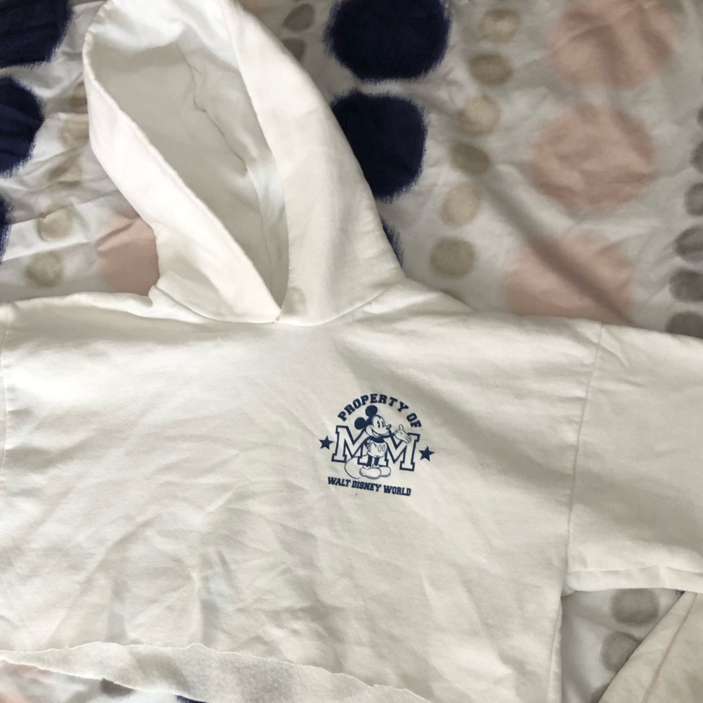 Disney World Cropped Hoodie